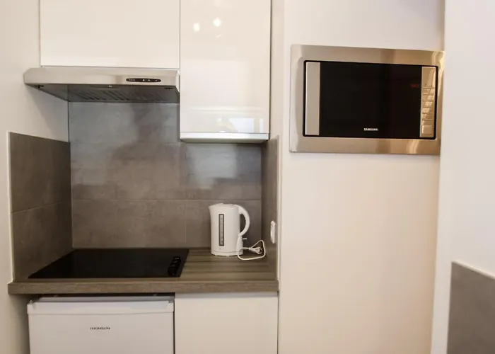 Appartamento à Avec Vue Mont-blanc, Capacité 4 Personnes, Animaux Admis - Fr-1-343-157 *