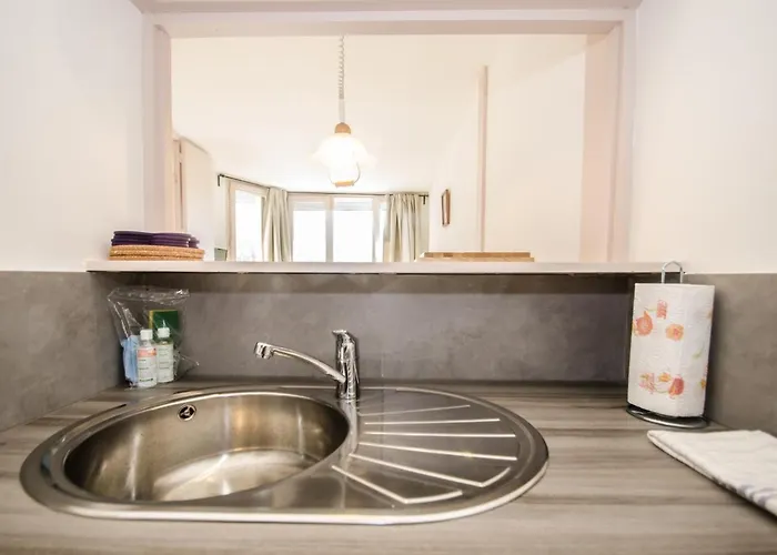 à Avec Vue Mont-blanc, Capacité 4 Personnes, Animaux Admis - Fr-1-343-157 Appartamento *